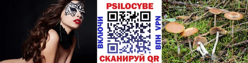 Галлюциногенные грибы Psilocybine cubensis  Якутск 
