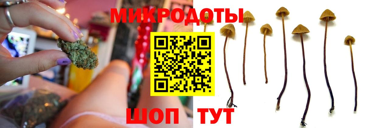 Галлюциногенные грибы MAGIC MUSHROOMS  Вход с VPN  Псилоцибиновые грибы мухоморы  Якутск 
